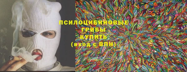 соль ск Алексин